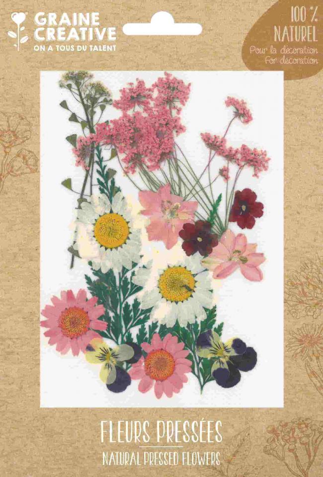 GC Naturgetrocknete Blumen Pink Meadow 16 Stück