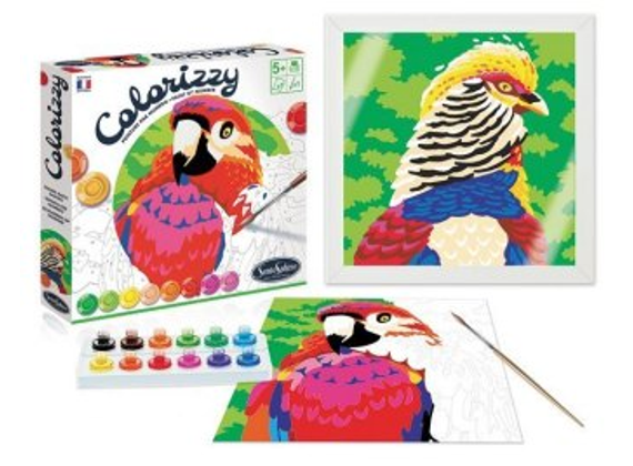 Colorizzy Schilder op Nummer Vogels