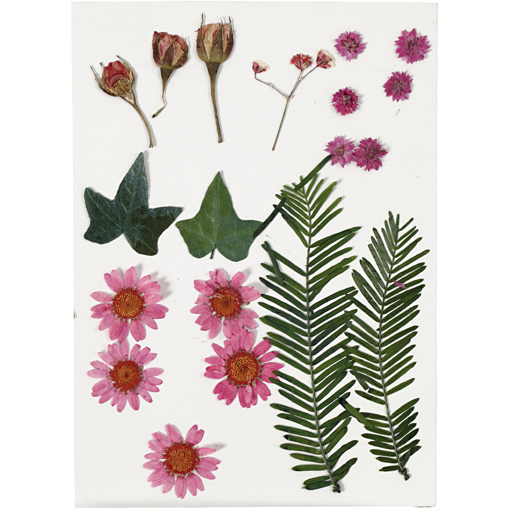 CC Dried Flowers and Leaves 19 pieces Pink
