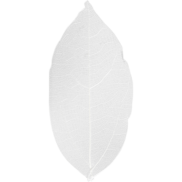 Skelettblätter 6 cm Weiß 20 Stück