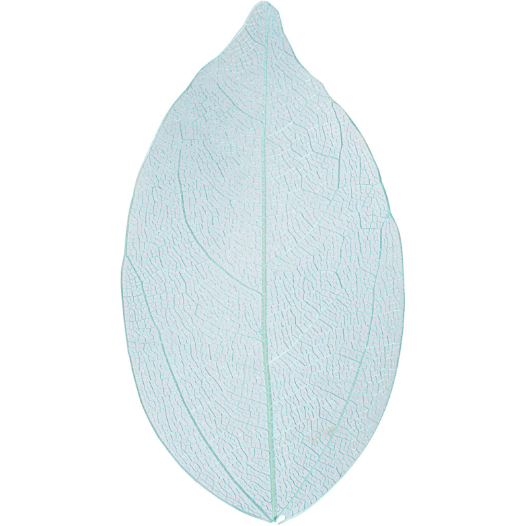 Skelet Bladeren 6 cm Licht Blauw 20 stuks