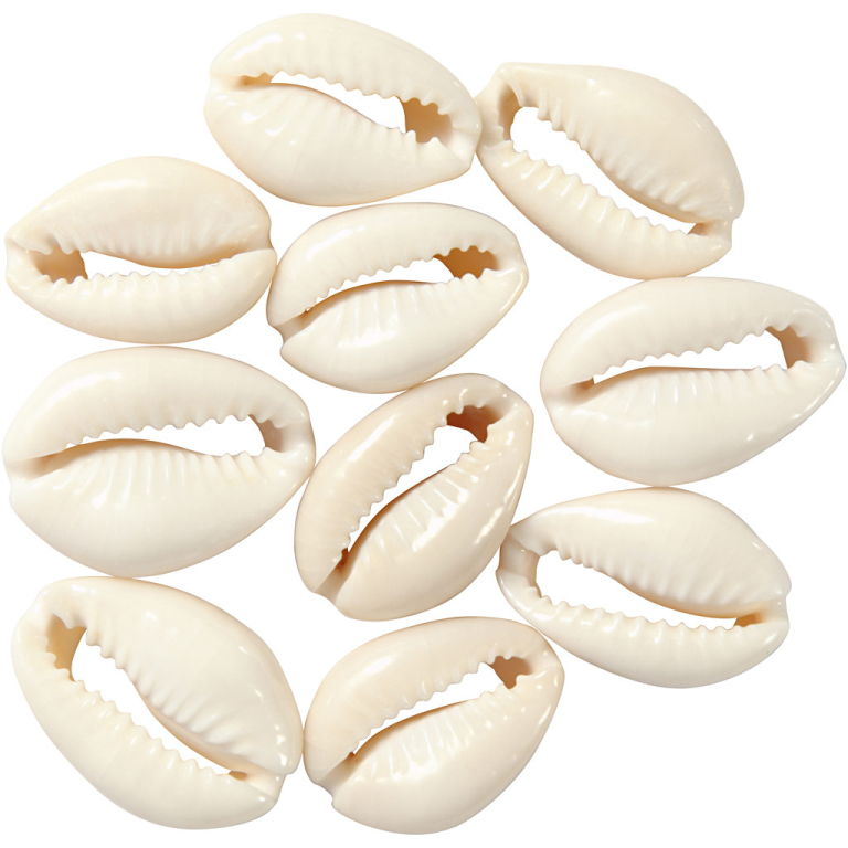 CC Muschelperlen 20 mm Natur 12 Stück