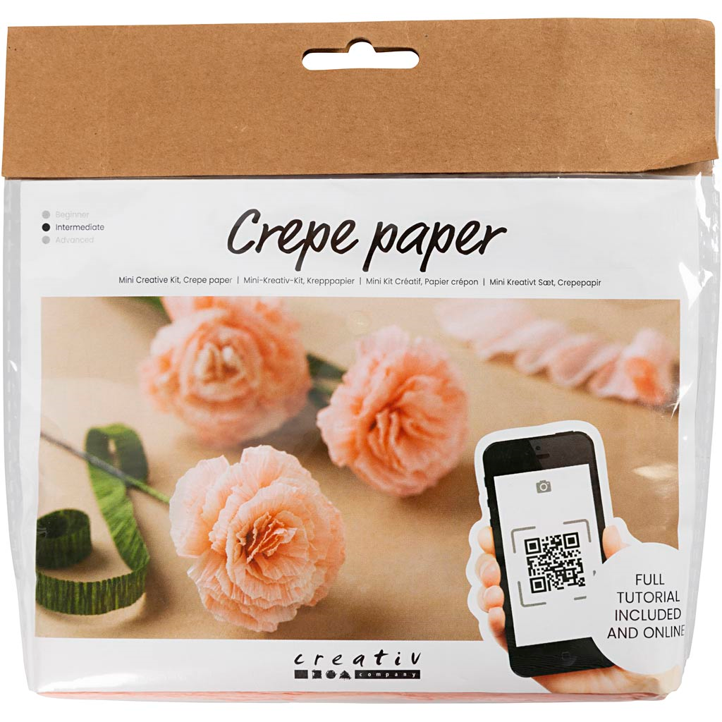CC Creative Mini Craft Set Crepe Paper Carnation Flowers