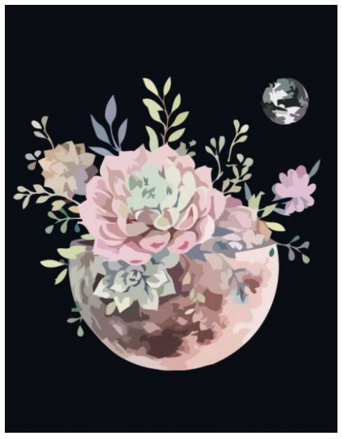 Rosa Start Malen nach Zahlen Blumenplanet 35x45 cm