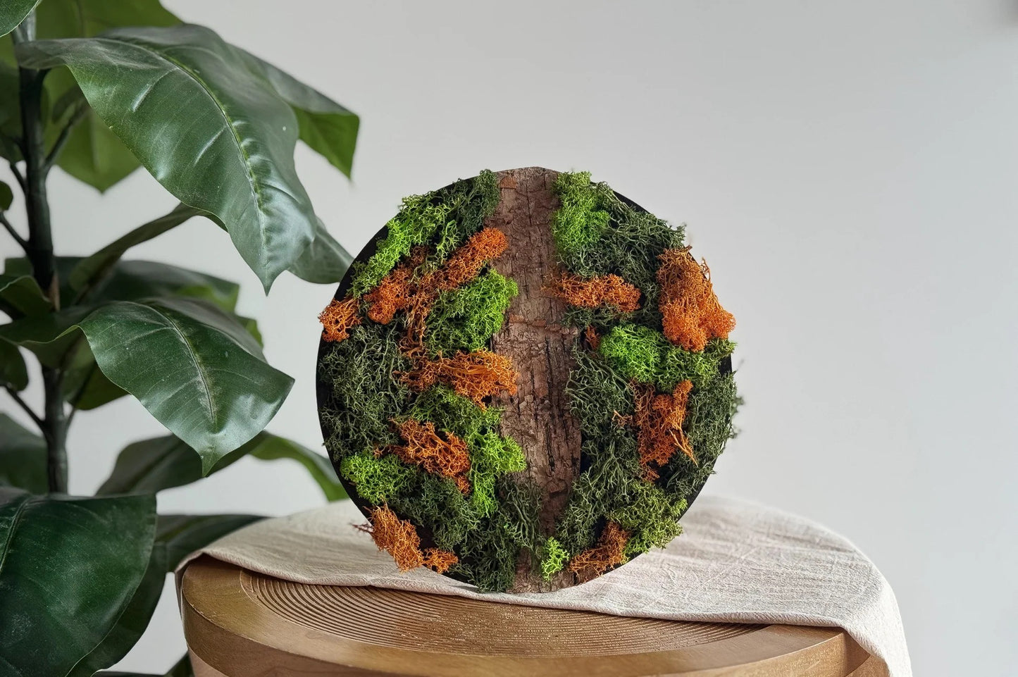 LC DIY Rentier-Moosbild Orange basteln
