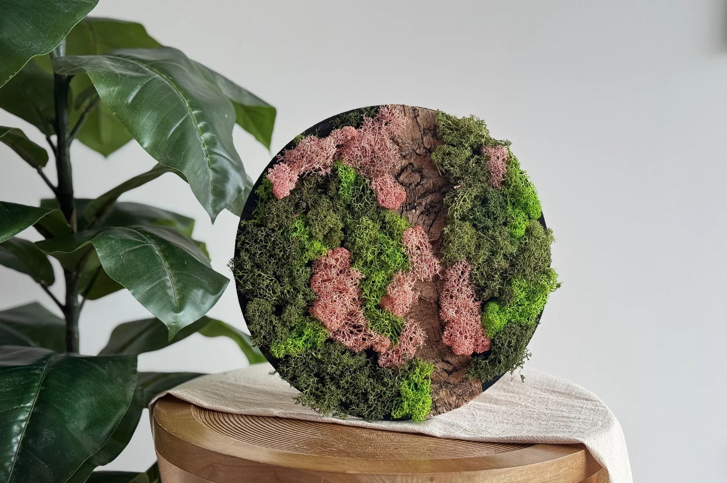 LC DIY Moosbild erstellen mit Islandmoos Rosa
