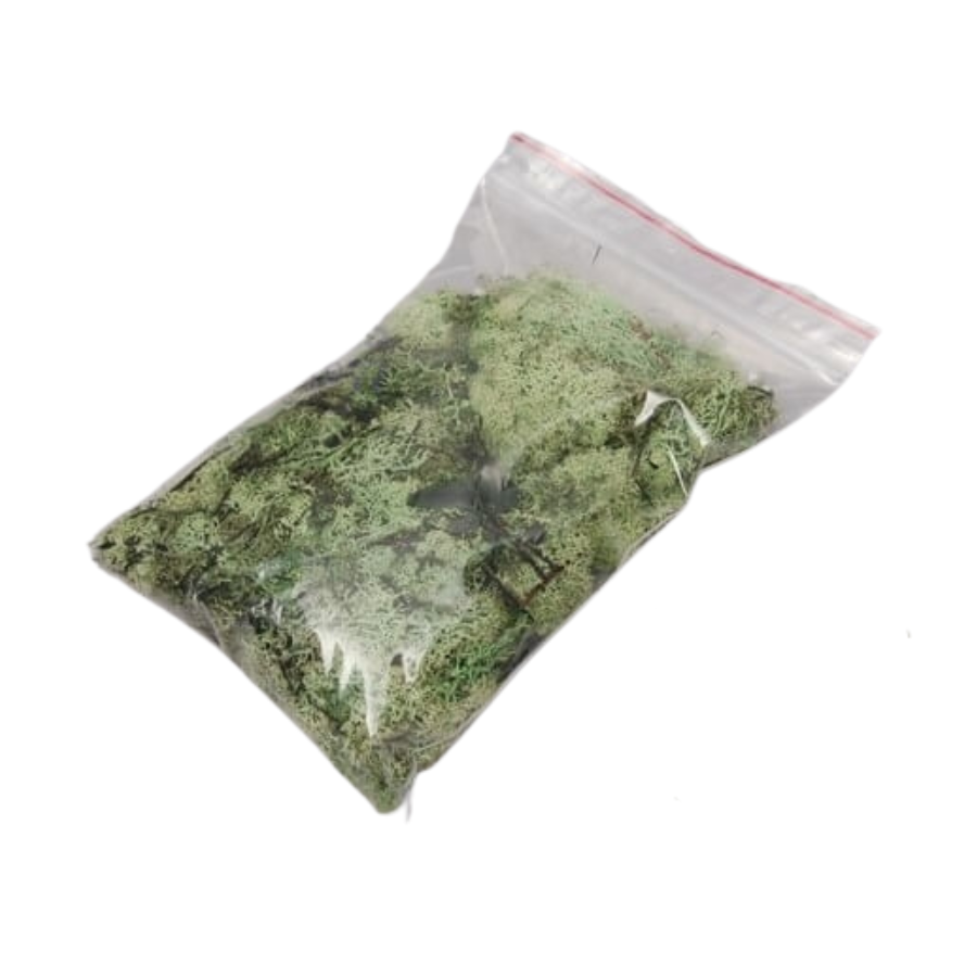 Mos Lichtgroen 100 gram