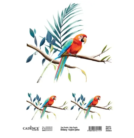 Cadence Birdsong Easy Transfer 25x35 cm Parrot