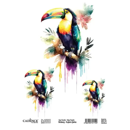 Cadence Birdsong Easy Transfer 25x35 cm Toucan