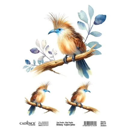 Cadence Birdsong Easy Transfer 25x35 cm Vogel blauer Schnabel