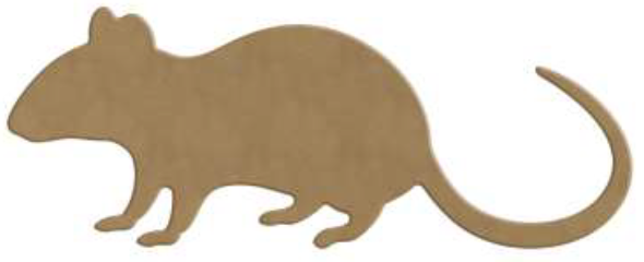 Gomille MDF Figuur Halloween Rat 23x9 cm
