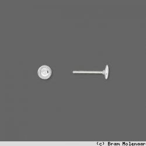 FIMO Oorbelstekers 6mm Zilverkleurig - Polymeerklei Accessoire