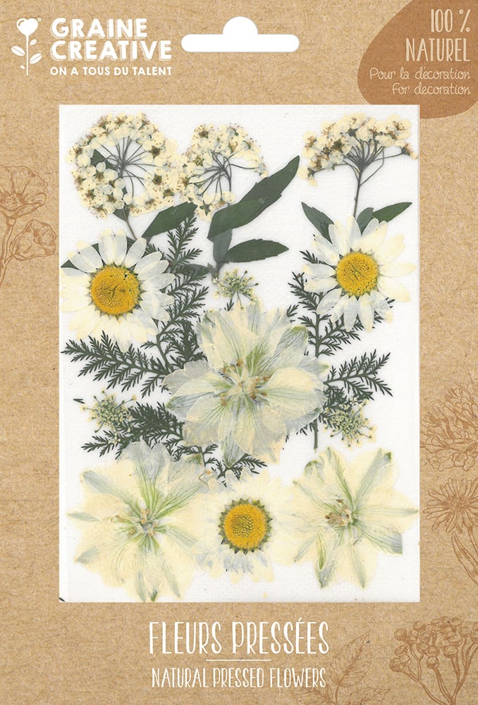 GC Natural Dried Flowers White Meadow 15 pcs
