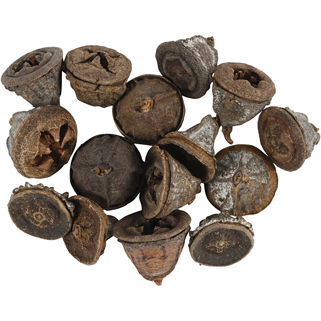CC Larch Cones 15-20 mm 25 gr