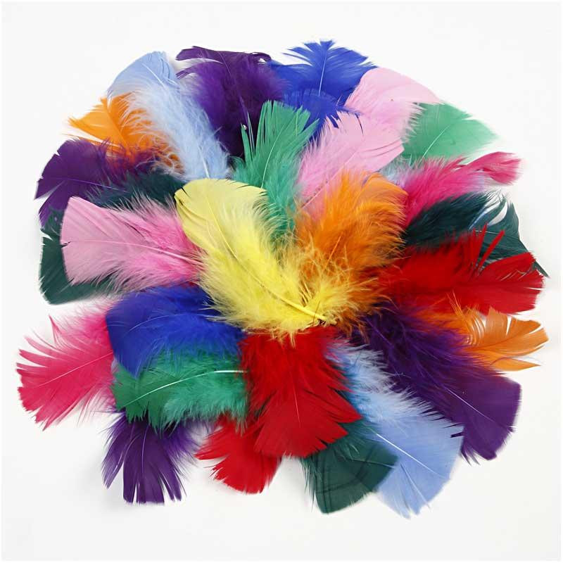 CC Bunte Federn 50 gr