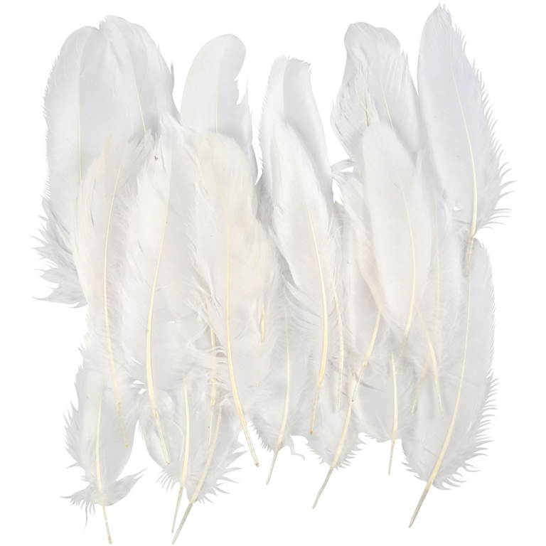 CC Ganzenveren 15 cm Wit 70 stuks