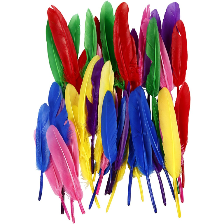 CC Feathers Colored 13 cm 48 pieces