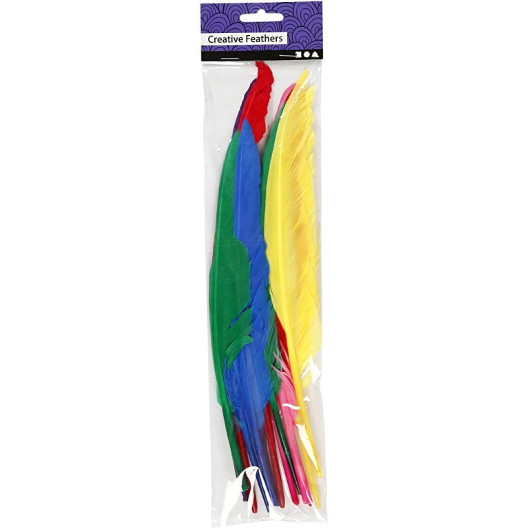 CC Veren Gekleurd l: 27cm 12 stuks
