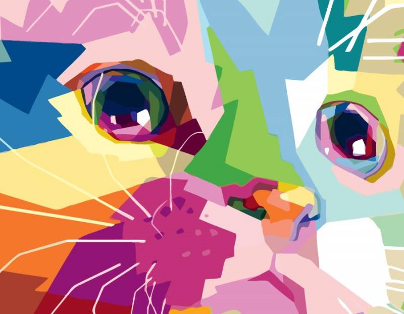 Rosa Start Paint by Number Cute Cat 35x45 cm