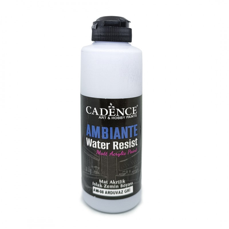 Cadence Ambiante Water-Resistant Matt Acrylic Paint 250 ml Slate Gray + 10 gr Catalyst