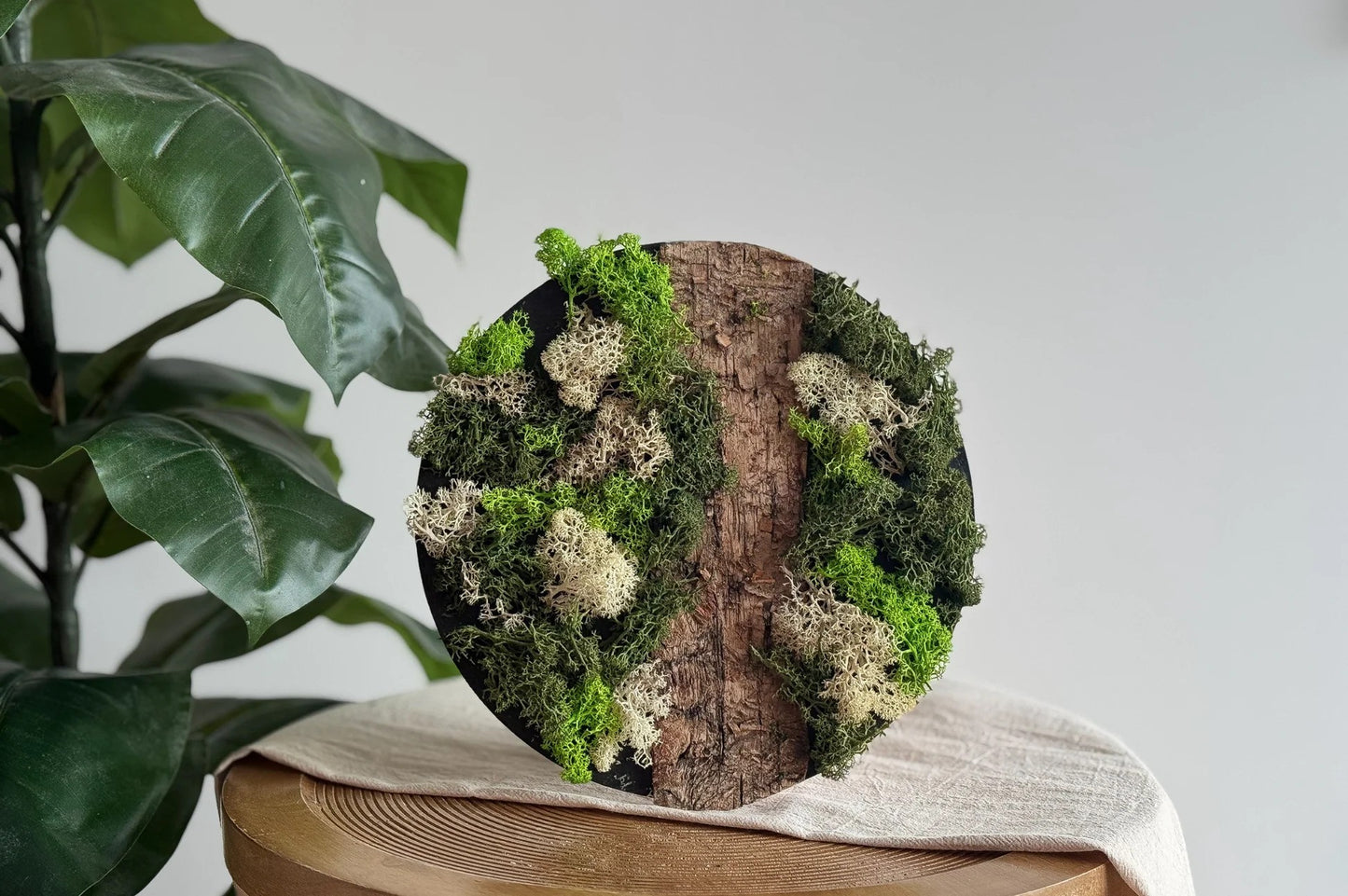 LC DIY Make a Moss painting with Reindeer Moss White
