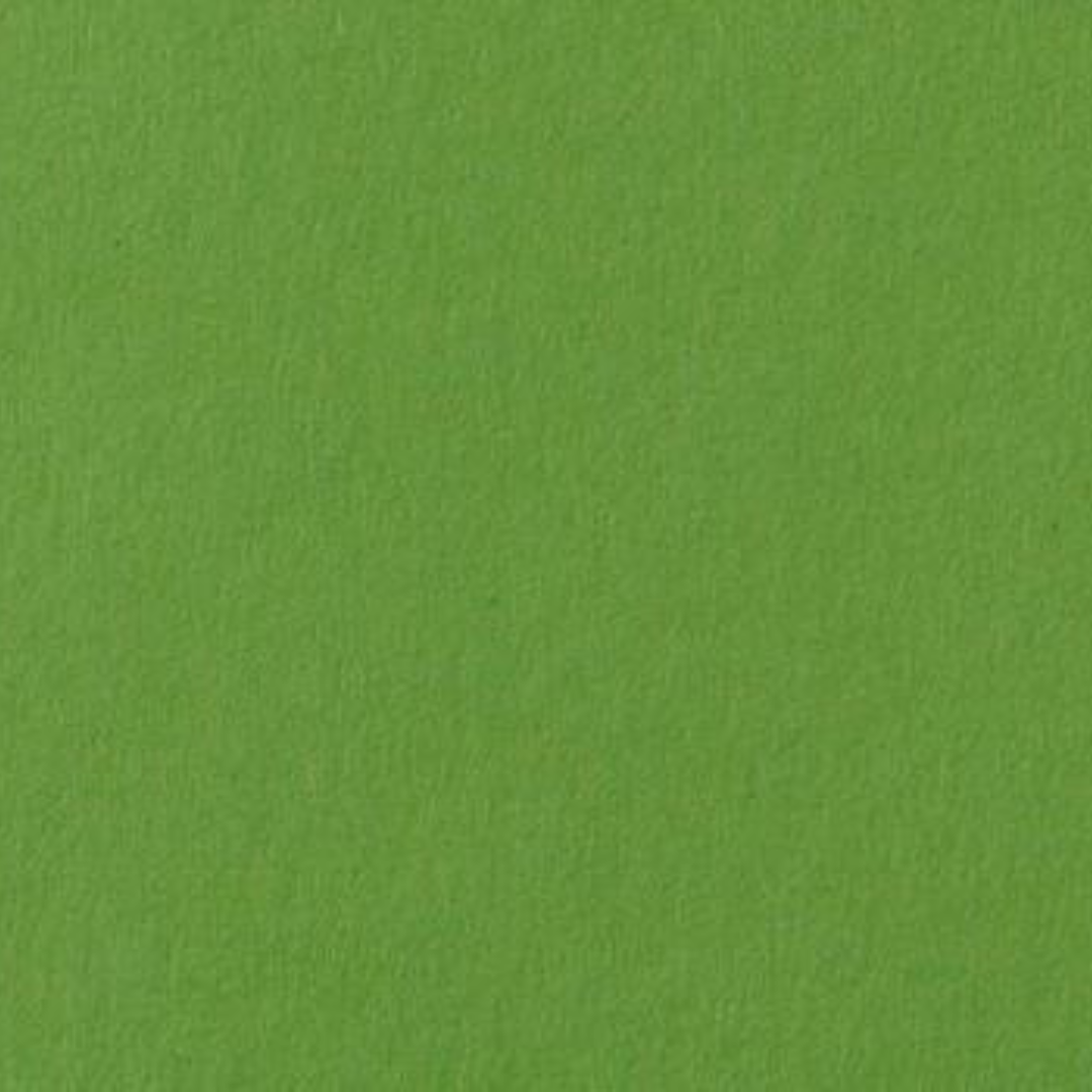 Folia Fotokarton 10 Blatt - 300g/m² - Grasgrün - 50 x 70 cm