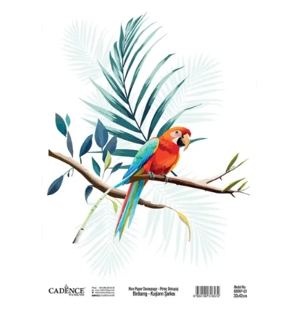 Cadence Birdsong Rijstpapier 30x42 cm Papagaai