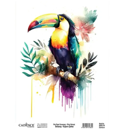 Cadence Birdsong Rijstpapier 30x42 cm Toekan