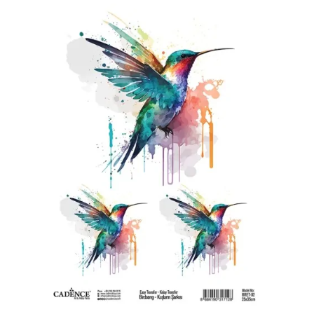 Cadence Birdsong Easy Transfer 25x35 cm Hummingbird