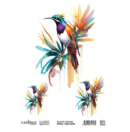 Cadence Birdsong Easy Transfer 25x35 cm Tropische vogel