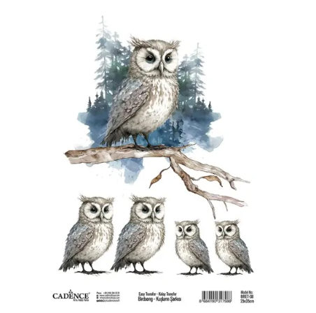 Cadence Birdsong Easy Transfer 25x35 cm Eule
